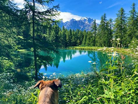 lac hermes|Tête d’Oréac and lac des Hermes .